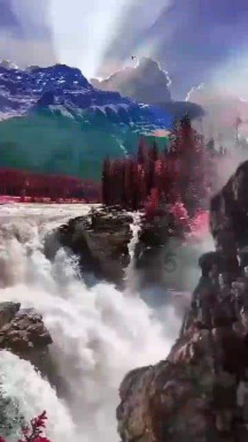 逃离水虎鱼湖