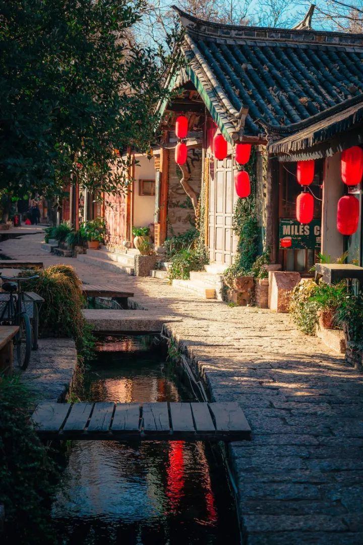 悲伤兔大冒险